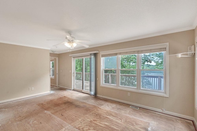 313 Lakeview Dr, Townville, SC 29689 - photo 29