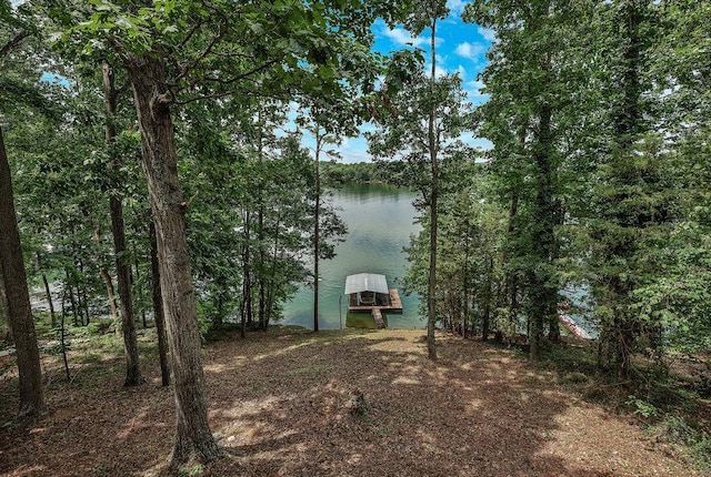 313 Lakeview Dr, Townville, SC 29689 - photo 3
