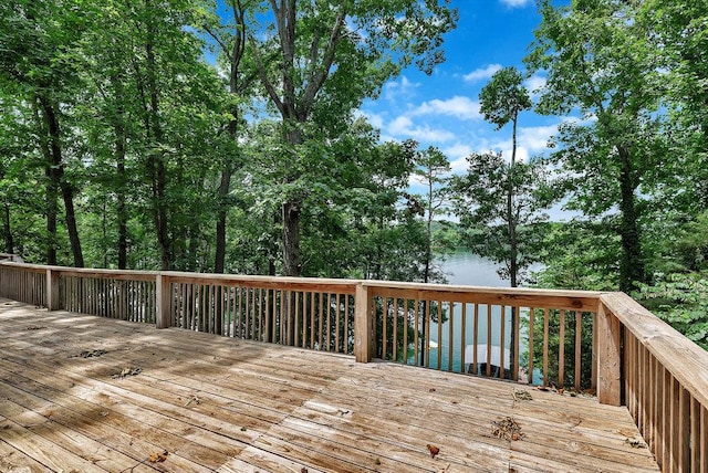 313 Lakeview Dr, Townville, SC 29689 - photo 27