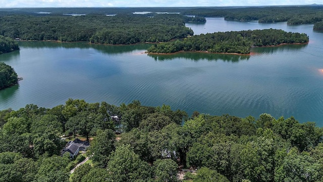 313 Lakeview Dr, Townville, SC 29689 - photo 12