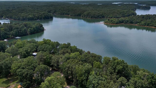313 Lakeview Dr, Townville, SC 29689 - photo 14