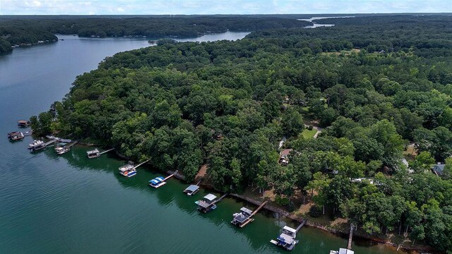 313 Lakeview Dr, Townville, SC 29689 - photo 16