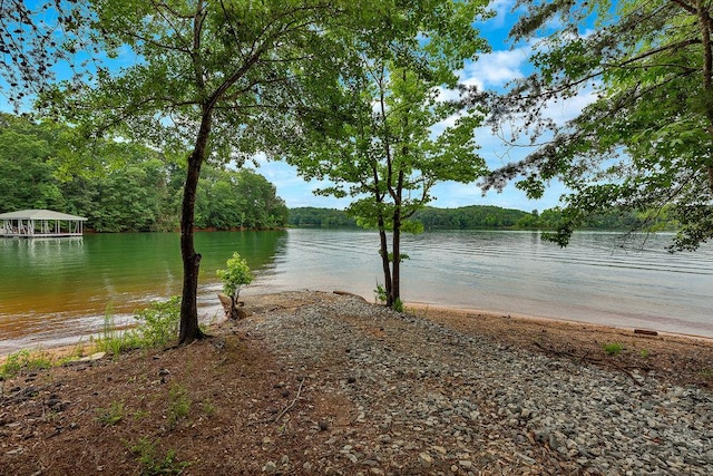 313 Lakeview Dr, Townville, SC 29689 - photo 49