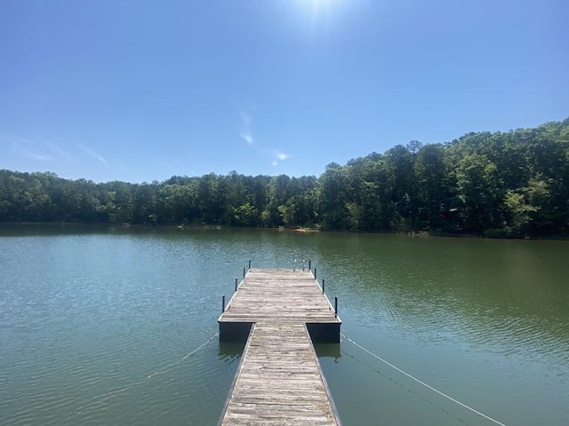 621 Chase Lndg, Martin, GA 30557 - dock area with a water view and a view of trees