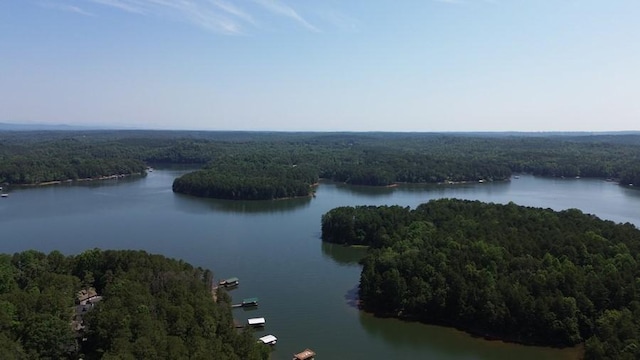 621 Chase Lndg, Martin, GA 30557 - aerial overview of property's location with a forest and a nearby body of water