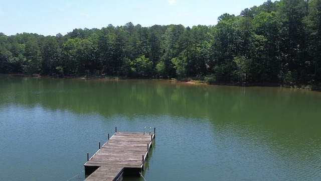 621 Chase Lndg, Martin, GA 30557 - dock featuring a water view and a view of trees