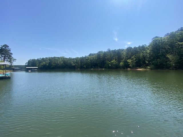 621 Chase Lndg, Martin, GA 30557 - water view featuring a forest