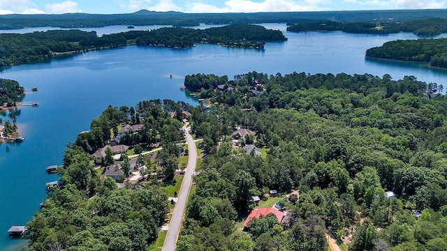 197 Jubie Ln, Seneca, SC 29672 - drone / aerial view of a large body of water and a forest