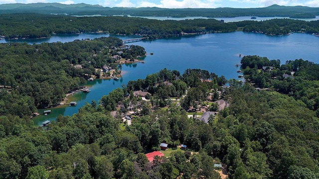 197 Jubie Ln, Seneca, SC 29672 - aerial view of a forest and a water and mountain view