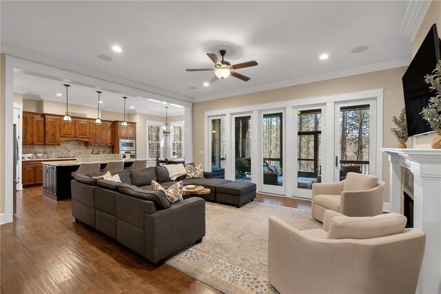 703 Timberbrook Trl, Salem, SC 29676 - living room with ceiling fan, healthy amount of natural light, dark wood finished floors, ornamental molding, and a fireplace