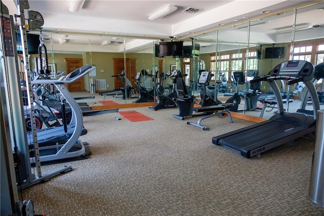 633 Harts Cove Way Unit 633, Seneca, SC 29678 - gym featuring carpet flooring