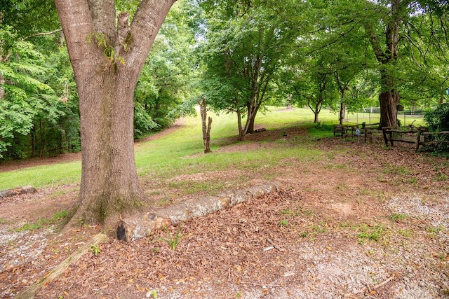 316 Brewer Rd, Walhalla, SC 29691 - view of yard