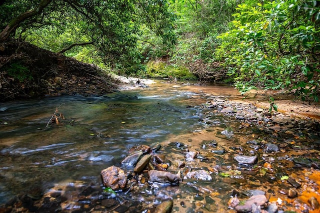 316 Brewer Rd, Walhalla, SC 29691 - water view featuring a forest