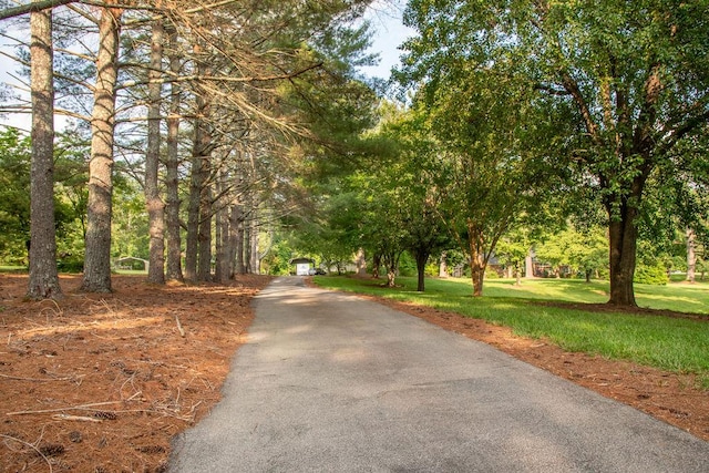 316 Brewer Rd, Walhalla, SC 29691 - view of home's community featuring driveway and a yard