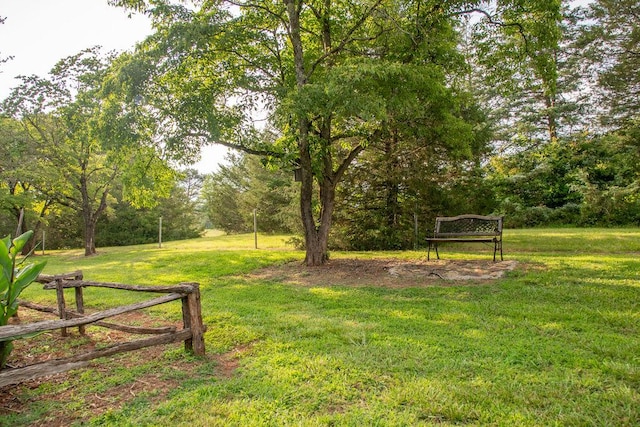 316 Brewer Rd, Walhalla, SC 29691 - view of green lawn