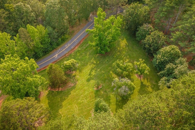 316 Brewer Rd, Walhalla, SC 29691 - bird's eye view