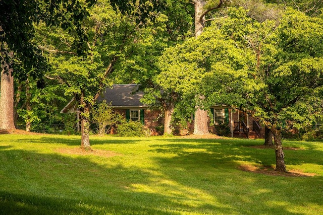 316 Brewer Rd, Walhalla, SC 29691 - view of front of property featuring a front lawn, brick siding, and a forest view