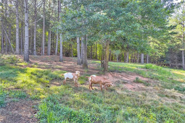 343 Griggs Rd, Six Mile, SC 29682 - photo 34