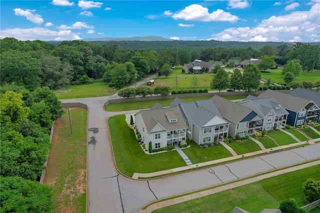 914 Blue Moon St, Taylors, SC 29687 - aerial view of a heavily wooded area