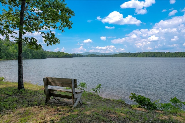 914 Blue Moon St, Taylors, SC 29687 - water view featuring a heavily wooded area