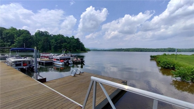 914 Blue Moon St, Taylors, SC 29687 - dock featuring a water view