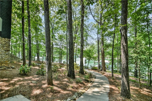 6 Skipper Ln, Salem, SC 29676 - view of home's community
