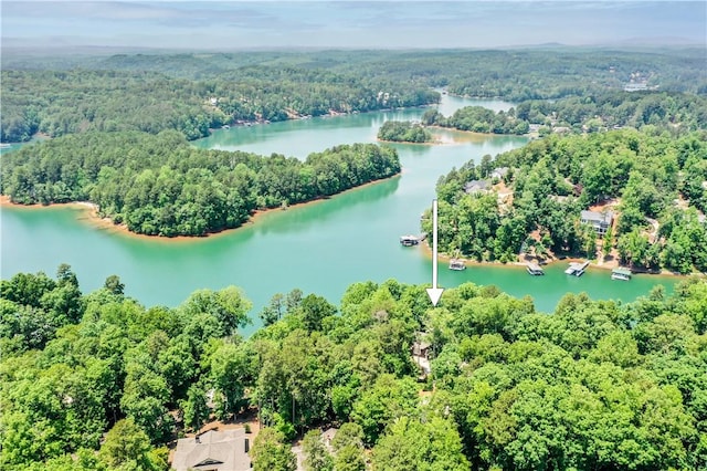 6 Skipper Ln, Salem, SC 29676 - bird's eye view of a nearby body of water