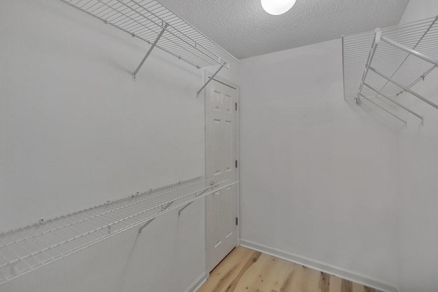 433 Den Ridge Dr, Walhalla, SC 29691 - walk in closet with light wood-style flooring