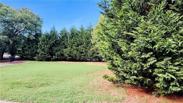 3008 Bellview Rd, Anderson, SC 29621 - photo 17