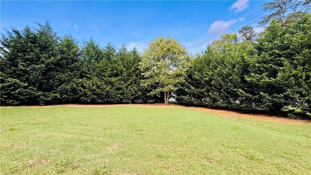 3008 Bellview Rd, Anderson, SC 29621 - photo 20