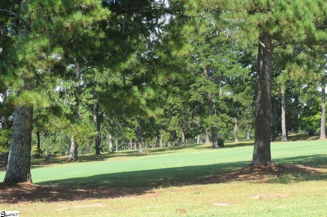 118 Lakeside Dr, Anderson, SC 29621 - surrounding community featuring a yard