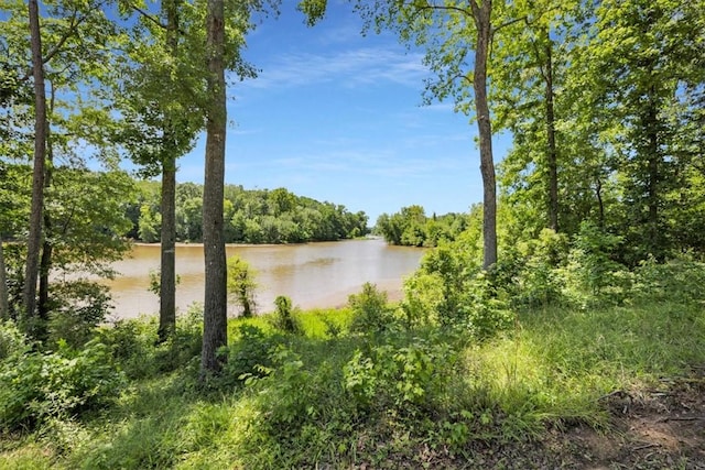 1194 Ninety Nine Island Rd, Blacksburg, SC 29702 - photo 40