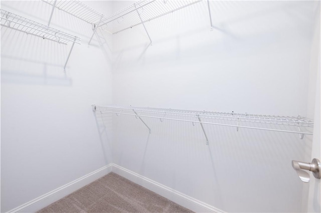 618 Motor Boat Way, Seneca, SC 29672 - walk in closet with carpet flooring