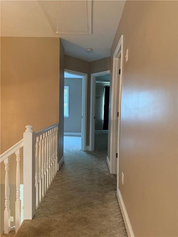 1515 Marina Rd, Anderson, SC 29625 - photo 13