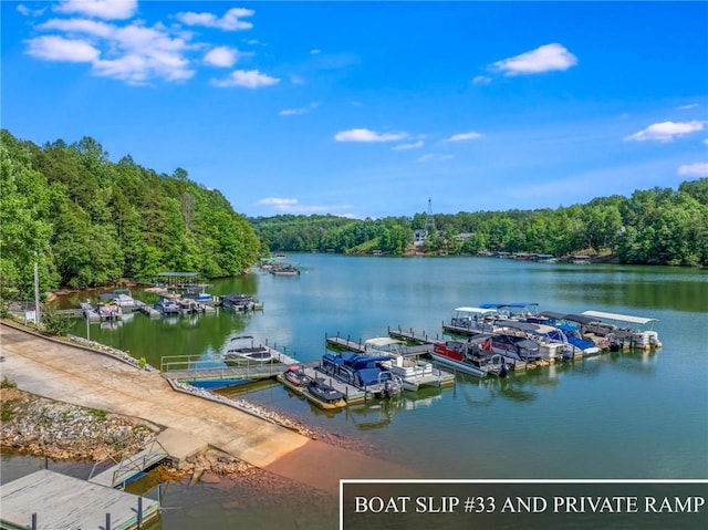 163 W Waters Edge Ln, West Union, SC 29696 - photo 3