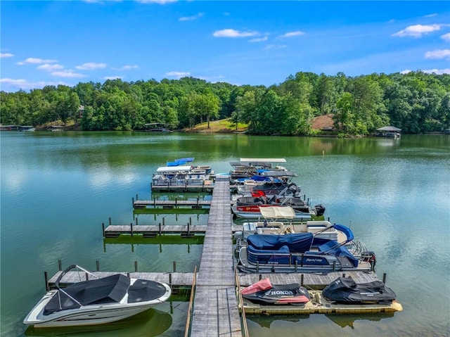 163 W Waters Edge Ln, West Union, SC 29696 - photo 4