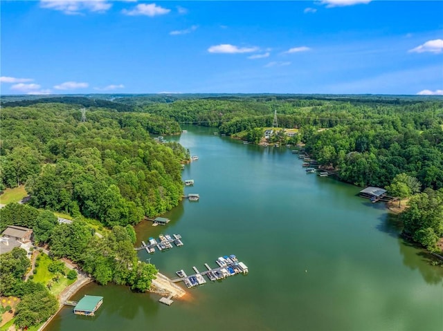 163 W Waters Edge Ln, West Union, SC 29696 - photo 41