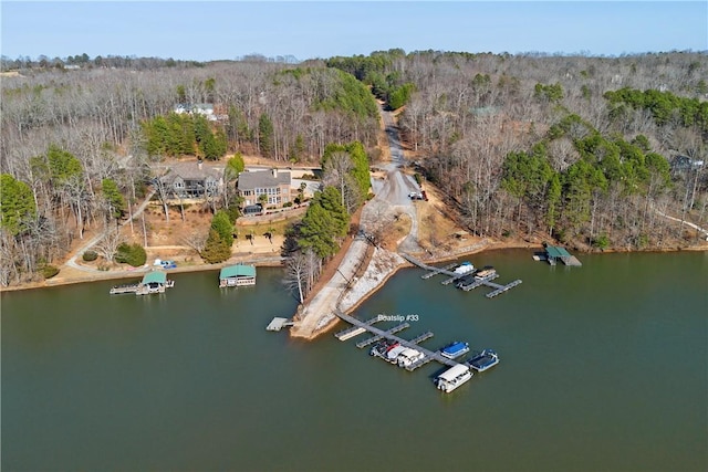 163 W Waters Edge Ln, West Union, SC 29696 - photo 42