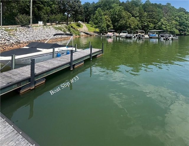 163 W Waters Edge Ln, West Union, SC 29696 - photo 43