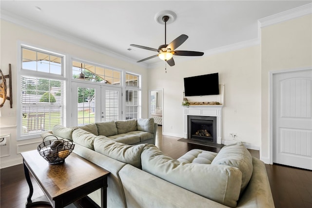 100 Dartford Ct, Easley, SC 29642 - living area with dark wood-style floors, a ceiling fan, healthy amount of natural light, ornamental molding, and a fireplace with flush hearth