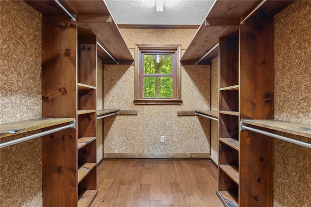 320 Whitfield Dr, Pendleton, SC 29670 - spacious closet featuring hardwood / wood-style floors