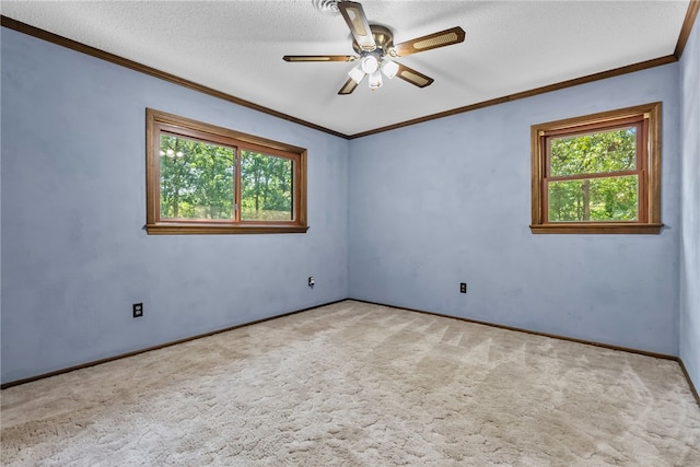 320 Whitfield Dr, Pendleton, SC 29670 - carpeted empty room featuring healthy amount of natural light, a ceiling fan, ornamental molding, and a textured ceiling