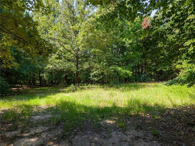 320 Whitfield Dr, Pendleton, SC 29670 - view of yard featuring a wooded view
