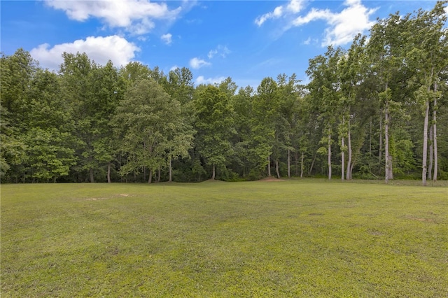 1330 Grove Rd, Anderson, SC 29621 - view of grassy yard featuring a forest view