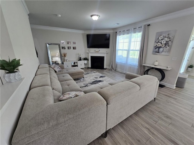 406 Willow Grove Way, Anderson, SC 29621 - living room featuring ornamental molding, wood finished floors, and a fireplace with flush hearth