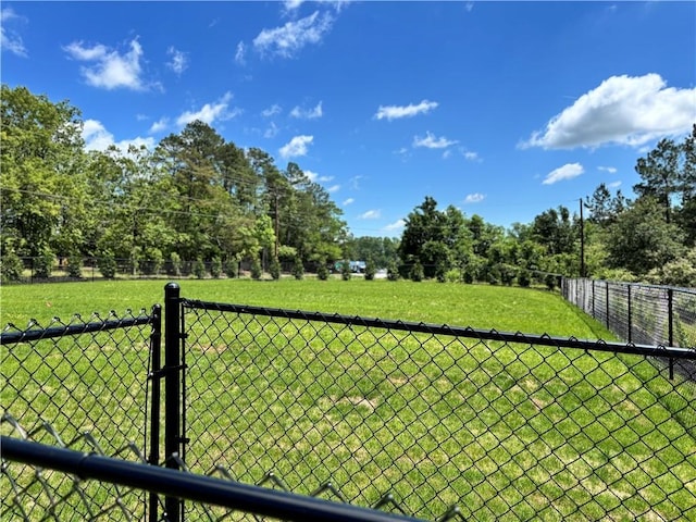 217 Islay Way, Anderson, SC 29621 - view of yard