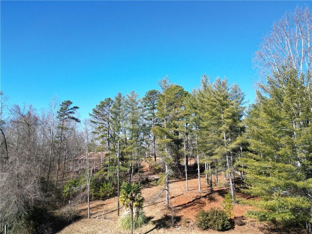 570 Green Valley Dr, Westminster, SC 29693 - photo 3