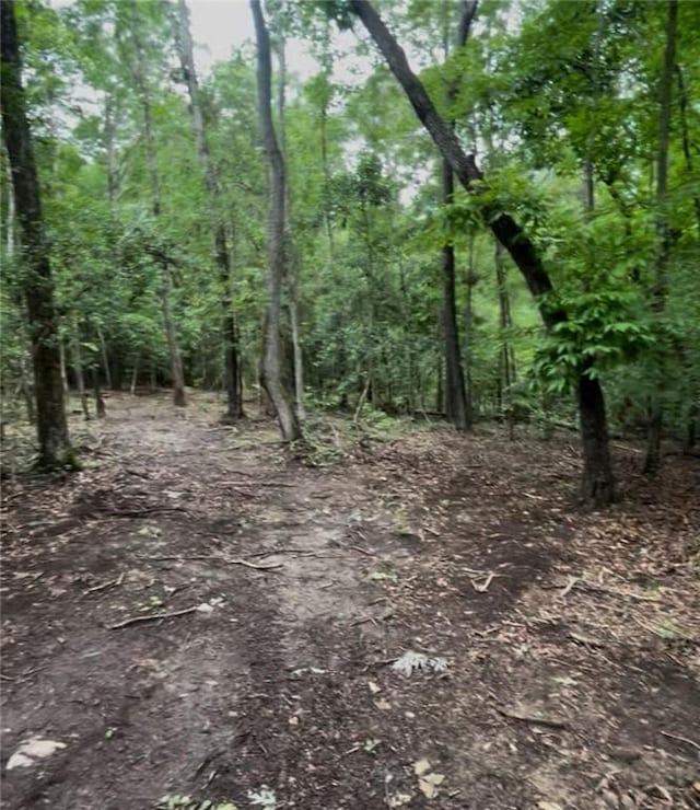 360 Lake Shore Dr, Abbeville, SC 29620 - photo 2