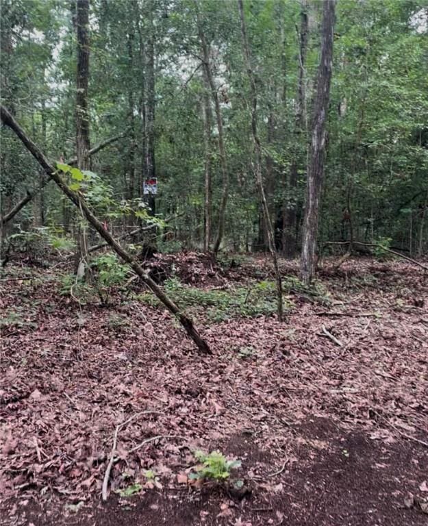 360 Lake Shore Dr, Abbeville, SC 29620 - photo 3