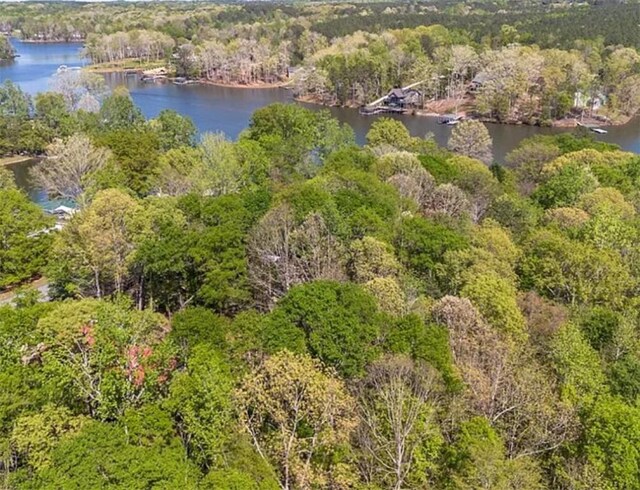 360 Lake Shore Dr, Abbeville, SC 29620 - photo 5